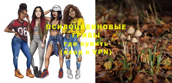 стаф Зеленодольск