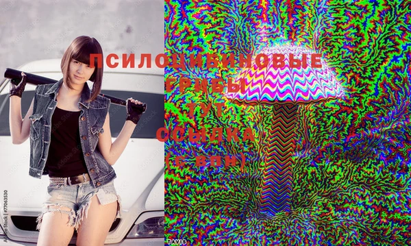 марихуана Зеленокумск